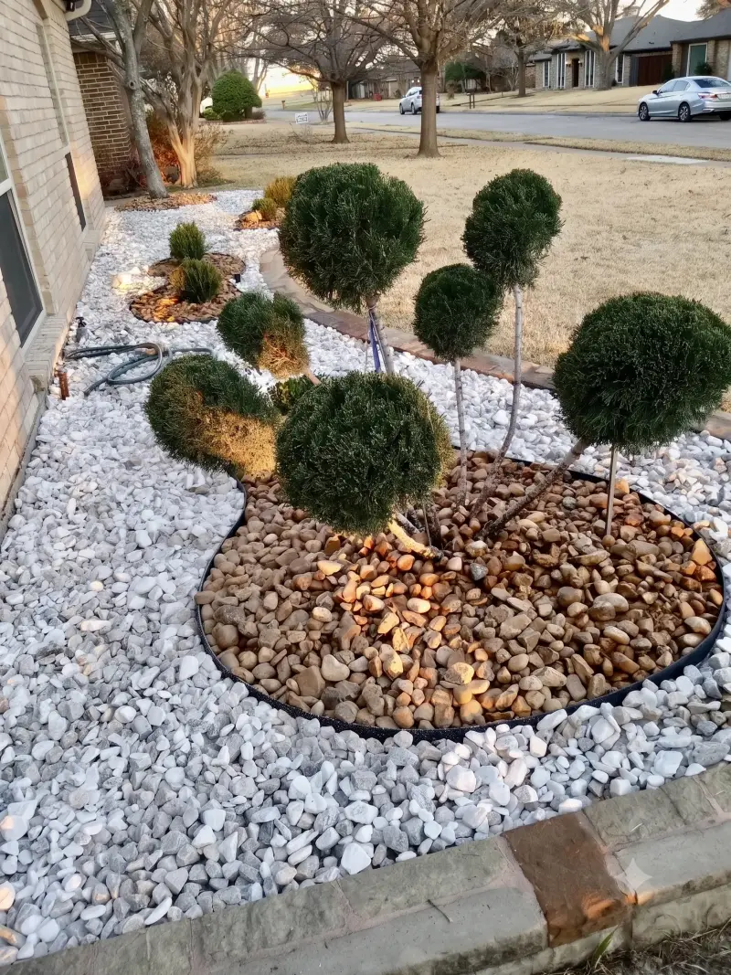 Xeriscape rock landscaping with sculpted topiary shrubs, white decorative stone, and river rock in a Plano, TX front yard